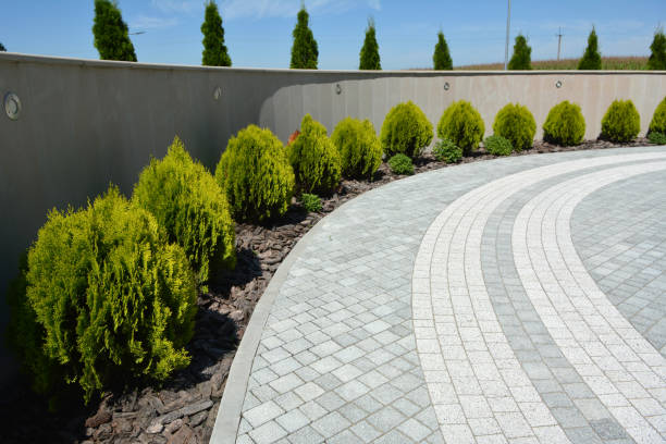 Best Residential Driveway Paver Services  in Franklinville, NJ